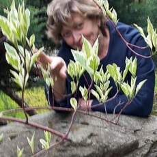 Фотография девушки Ирина, 59 лет из г. Тамбов