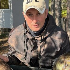 Фотография мужчины Лис, 40 лет из г. Ярославль