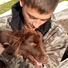 Фотография мужчины Иван, 29 лет из г. Лысьва