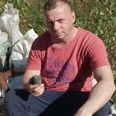 Фотография мужчины Степан, 40 лет из г. Серов