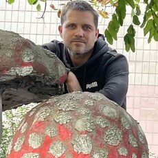 Фотография мужчины Виталий, 45 лет из г. Киев