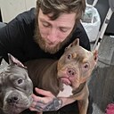 Александр, 36 лет