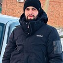 Волк, 34 года