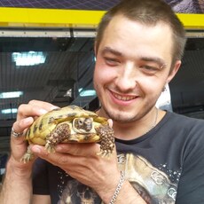 Фотография мужчины Dima, 33 года из г. Берлин