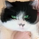 Black Coffee, 37 лет