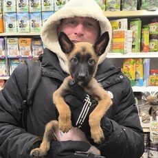 Фотография мужчины Андр, 35 лет из г. Северодвинск