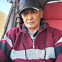 Беркут, 61 год