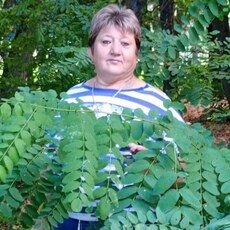 Фотография девушки Елена, 54 года из г. Липецк