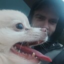 Дмитрий, 28 лет