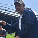 Дмитрий, 52 года