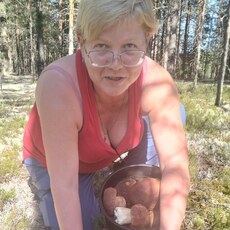 Фотография девушки Елена, 46 лет из г. Сыктывкар