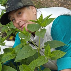 Фотография девушки Нина, 66 лет из г. Кемерово