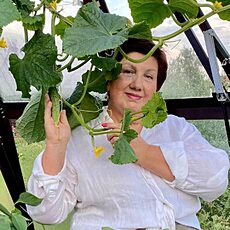 Фотография девушки Nina, 64 года из г. Владимир