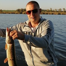 Фотография мужчины Дмитрий, 39 лет из г. Кореновск