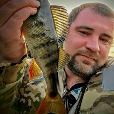 Фотография мужчины Миша, 40 лет из г. Ковдор