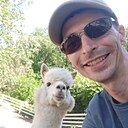 Ярослав, 41 год