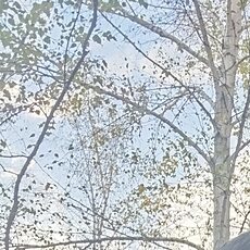 Фотография мужчины Артëм, 28 лет из г. Перевальск