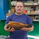 Николай, 35 лет