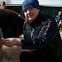 Елена, 39 лет