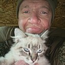 Андрей, 53 года