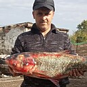 Дмитрий, 26 лет