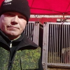 Фотография мужчины Сергей, 41 год из г. Владимир