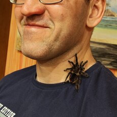 Фотография мужчины Васян, 34 года из г. Серпухов