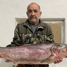 Фотография мужчины Сергей, 63 года из г. Владивосток
