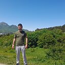 Тигр, 33 года