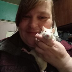 Фотография девушки Светлана, 40 лет из г. Ярославль