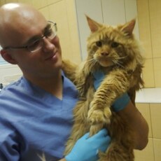 Фотография мужчины Дмитрий, 39 лет из г. Москва