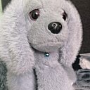 Маришка, 35 лет