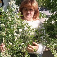 Фотография девушки Лариса, 48 лет из г. Харьков