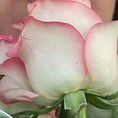 Фотография девушки Майя, 45 лет из г. Таганрог