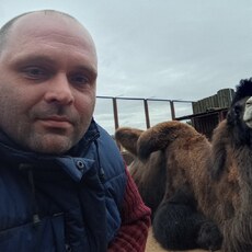 Фотография мужчины Николай, 38 лет из г. Минск