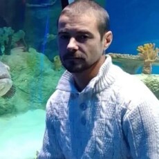 Фотография мужчины Ден, 37 лет из г. Иркутск