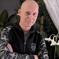 Фотография мужчины Дима, 47 лет из г. Пушкино (Московская Обл)