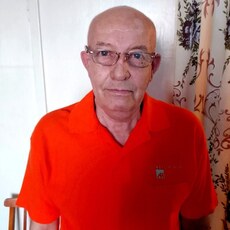 Фотография мужчины Валерий, 65 лет из г. Нижняя Пойма
