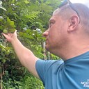 Владимир, 48 лет