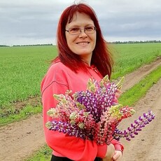 Фотография девушки Злая Зая, 45 лет из г. Скопин