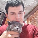 Cutie Crisp, 31 год