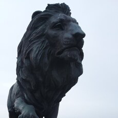 Фотография мужчины Сергей, 50 лет из г. Брест