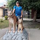 Владимир, 45 лет