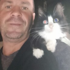 Фотография мужчины Николай, 46 лет из г. Шадринск