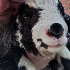 Фотография мужчины Jar, 40 лет из г. Москва