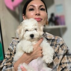 Татьяна, 42 из г. Краснодар.