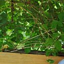 Наталья, 47 лет