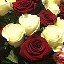 Донна Роза, 63 года