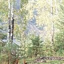 Сергей, 57 лет