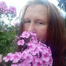 Фотография девушки Светланка, 43 года из г. Белово